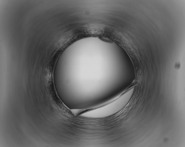 X0000098200176200805151237