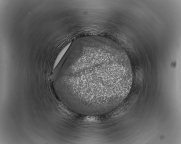X0000098200177200805151237