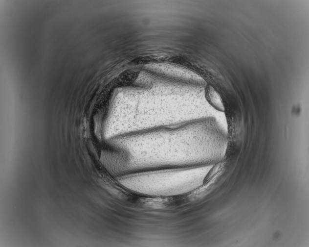 X0000098200182200805151237
