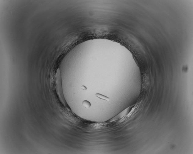 X0000098200184200805151237