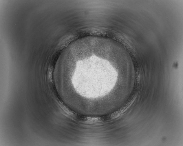 X0000098200185200805151237
