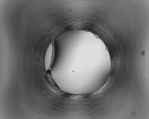 X0000098200186200805151237