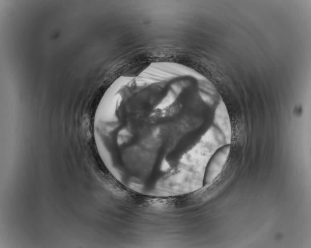 X0000098200187200805151237