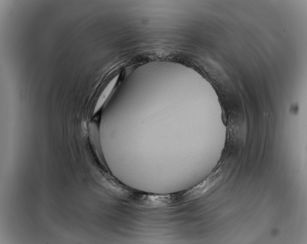 X0000098200188200805151237