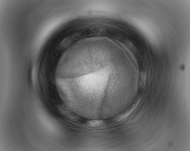 X0000098200189200805151237