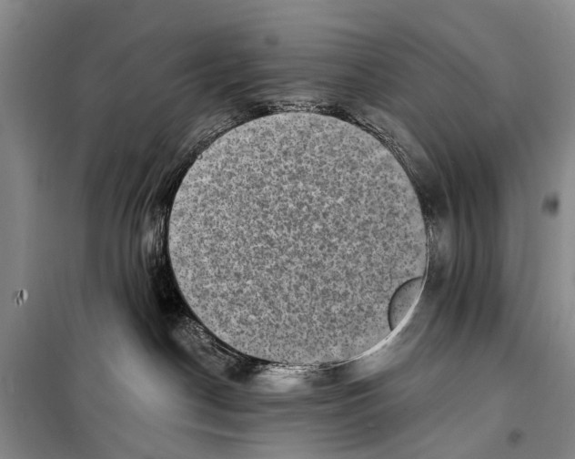 X0000098200190200805151237