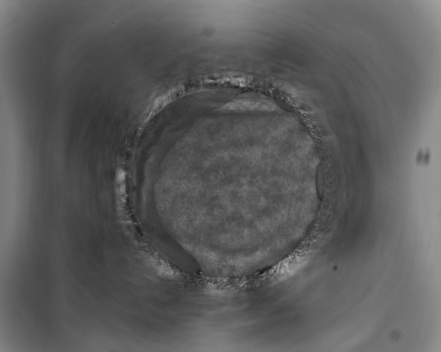X0000098200192200805151237