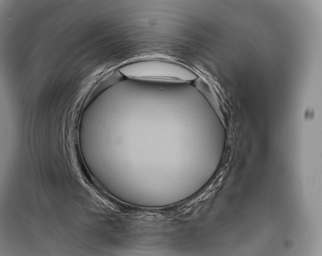 X0000098200193200805151237