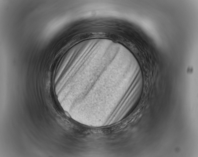 X0000098200194200805151237
