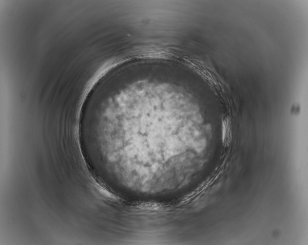 X0000098200195200805151236