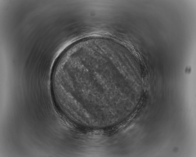 X0000098200196200805151236