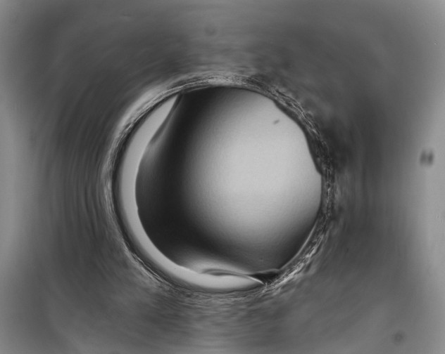 X0000098200197200805151236