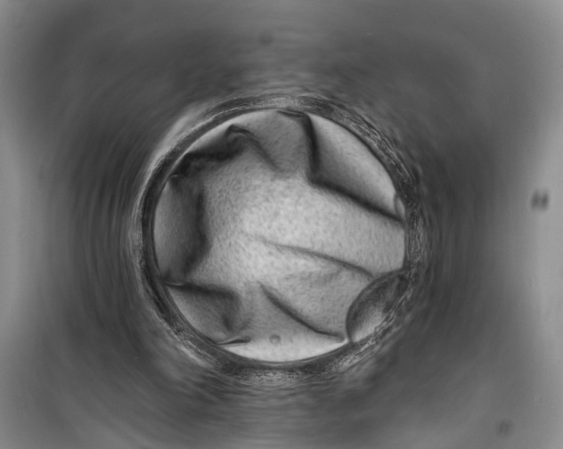 X0000098200198200805151236