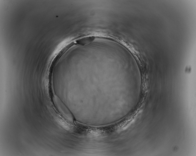 X0000098200199200805151236