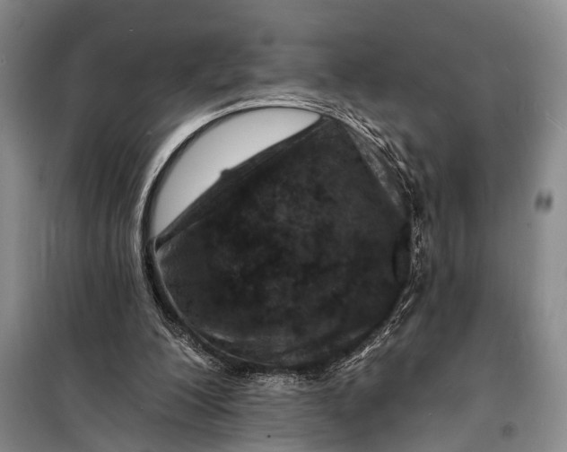 X0000098200200200805151236