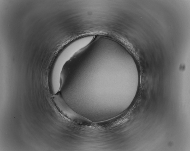 X0000098200201200805151236