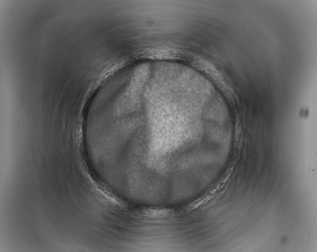 X0000098200202200805151236