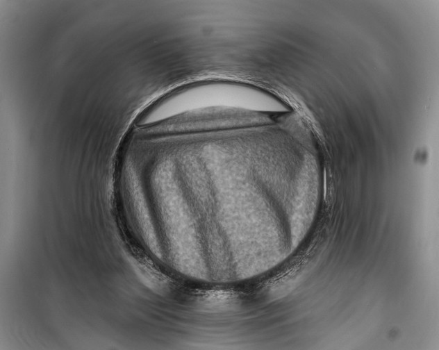 X0000098200204200805151236
