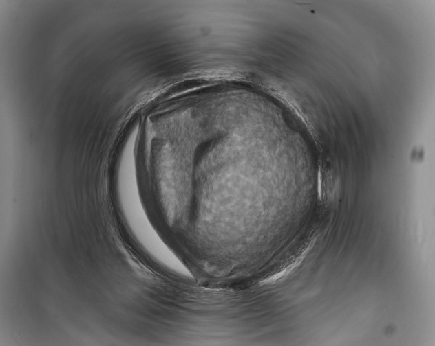 X0000098200205200805151236