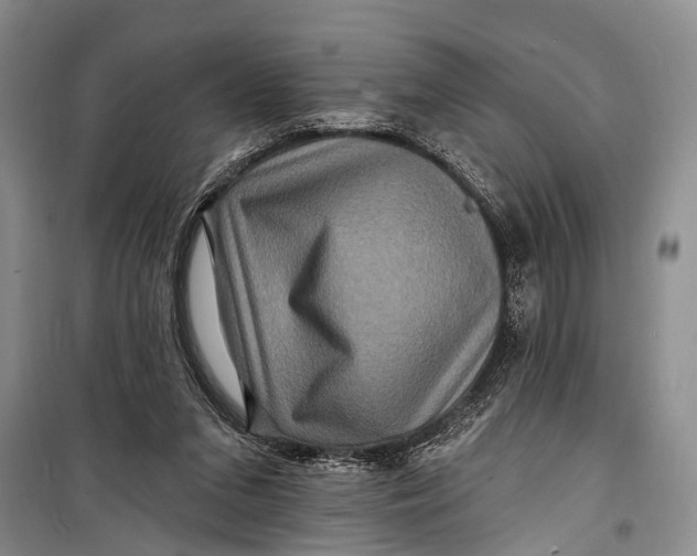 X0000098200207200805151236