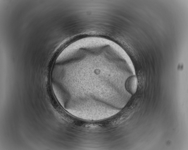 X0000098200208200805151236