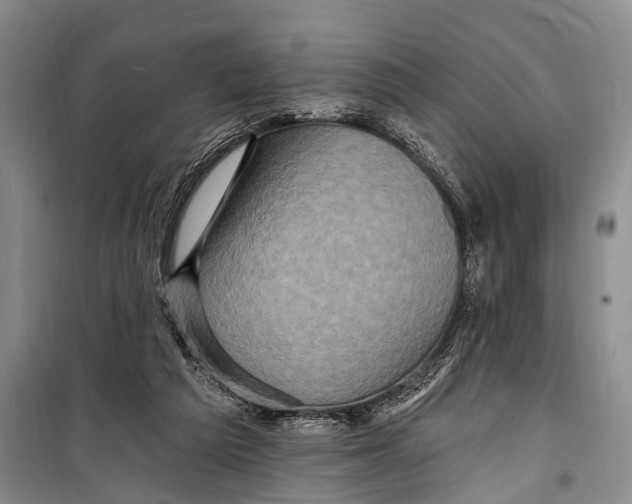 X0000098200209200805151236