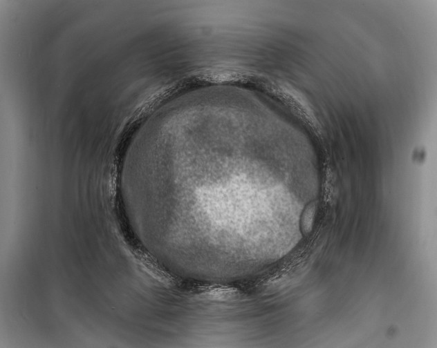 X0000098200210200805151236