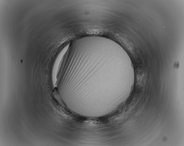 X0000098200211200805151236