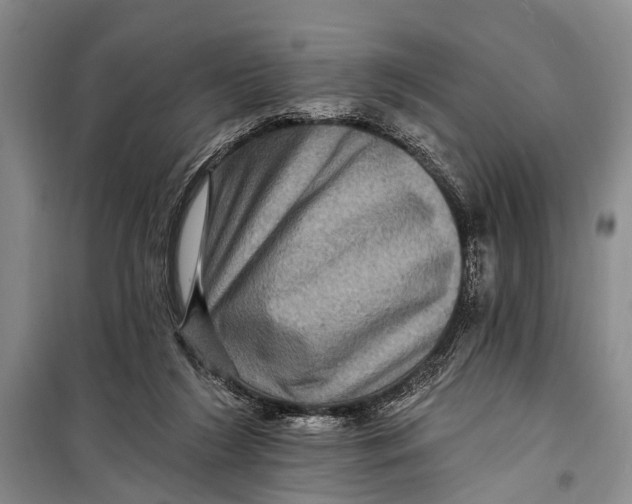 X0000098200212200805151236