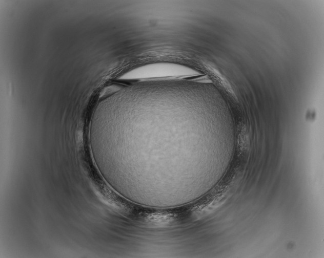 X0000098200213200805151236