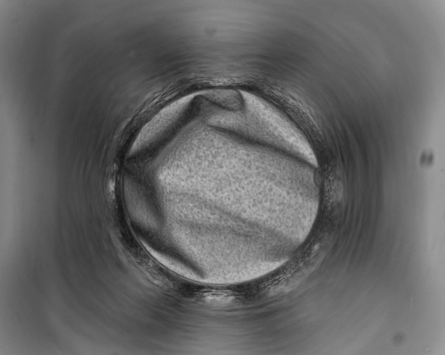 X0000098200214200805151236