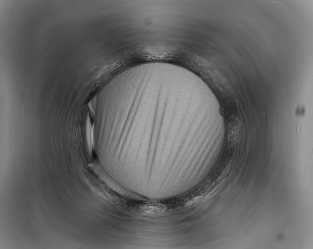 X0000098200215200805151236