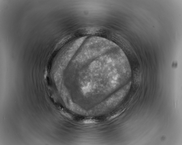 X0000098200216200805151236