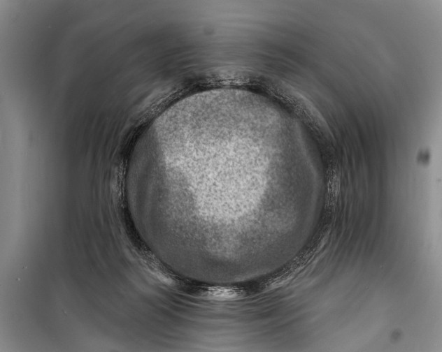 X0000098200218200805151236