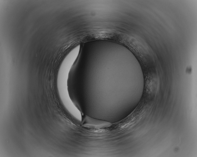 X0000098200219200805151236