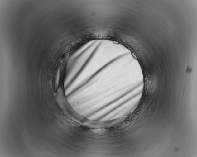 X0000098200221200805151236