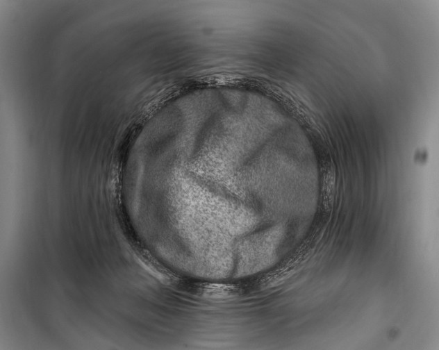 X0000098200222200805151236