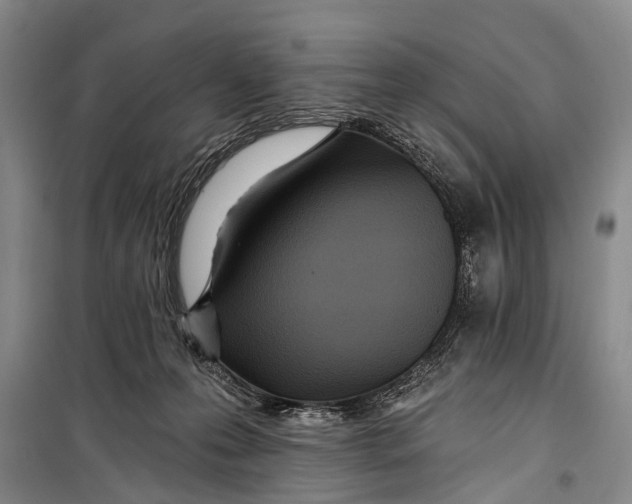 X0000098200223200805151236