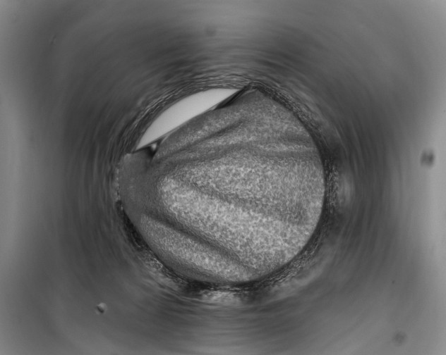 X0000098200224200805151236
