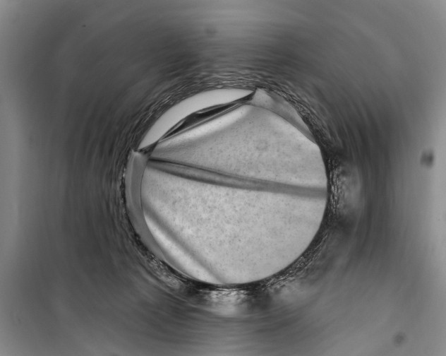 X0000098200225200805151236