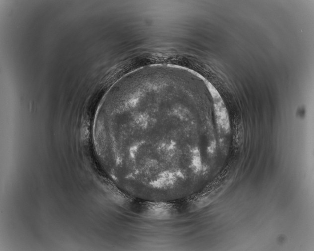 X0000098200226200805151236