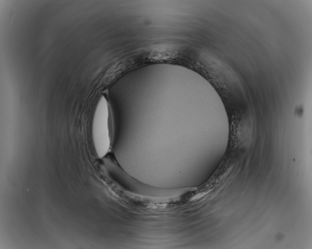 X0000098200227200805151236