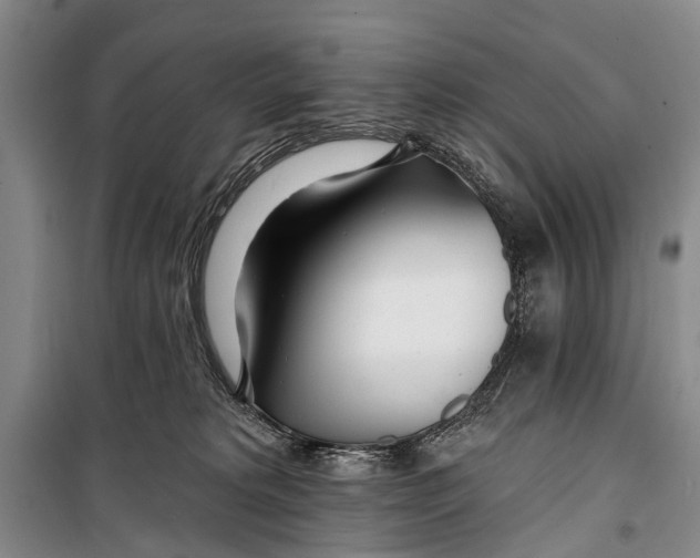 X0000098200229200805151236