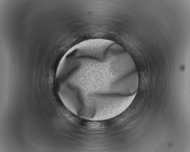 X0000098200230200805151236