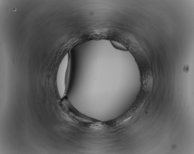 X0000098200231200805151236