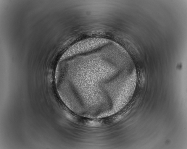 X0000098200232200805151236