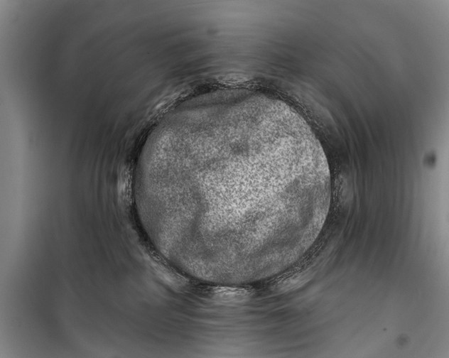 X0000098200234200805151236