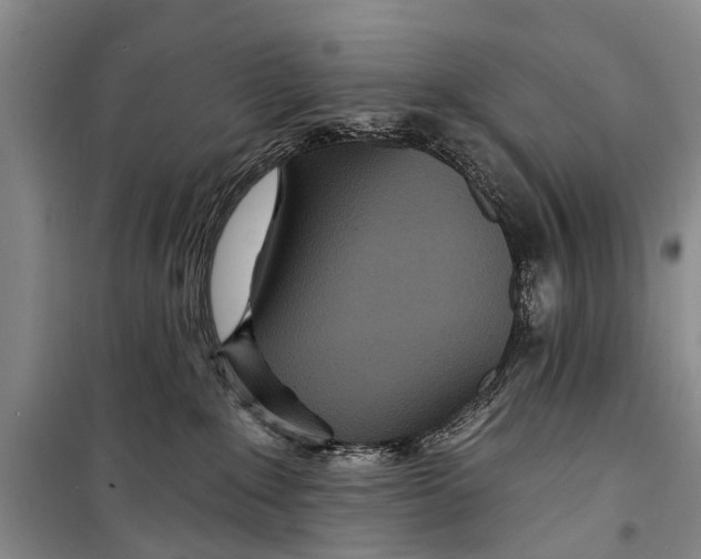X0000098200235200805151236