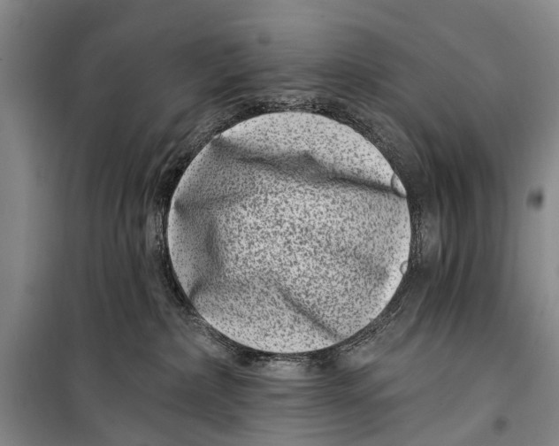X0000098200236200805151236