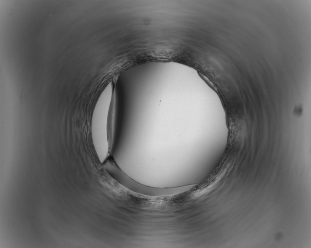 X0000098200237200805151236